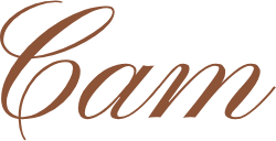 Cam